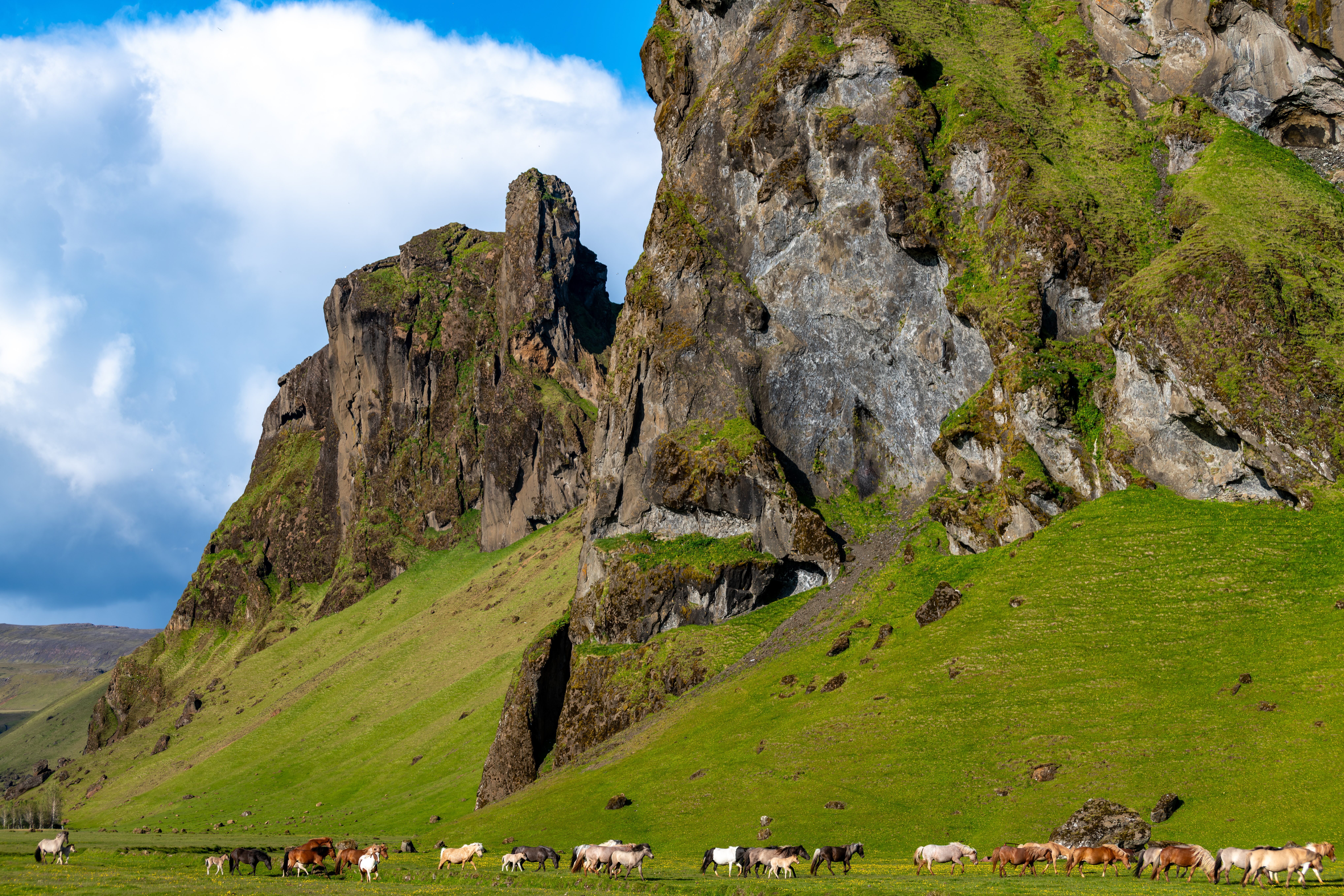 Iceland Photography