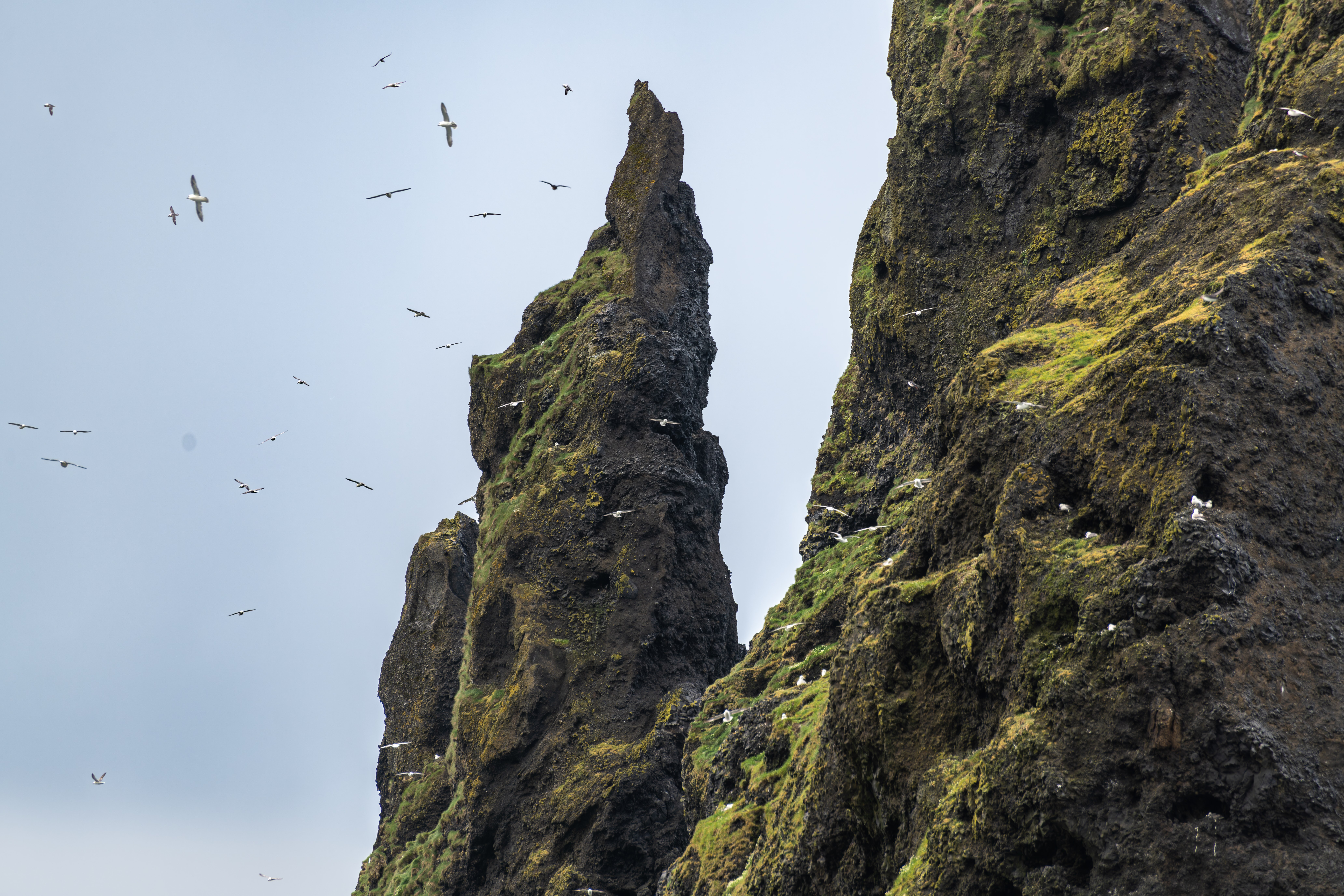 Iceland Photography