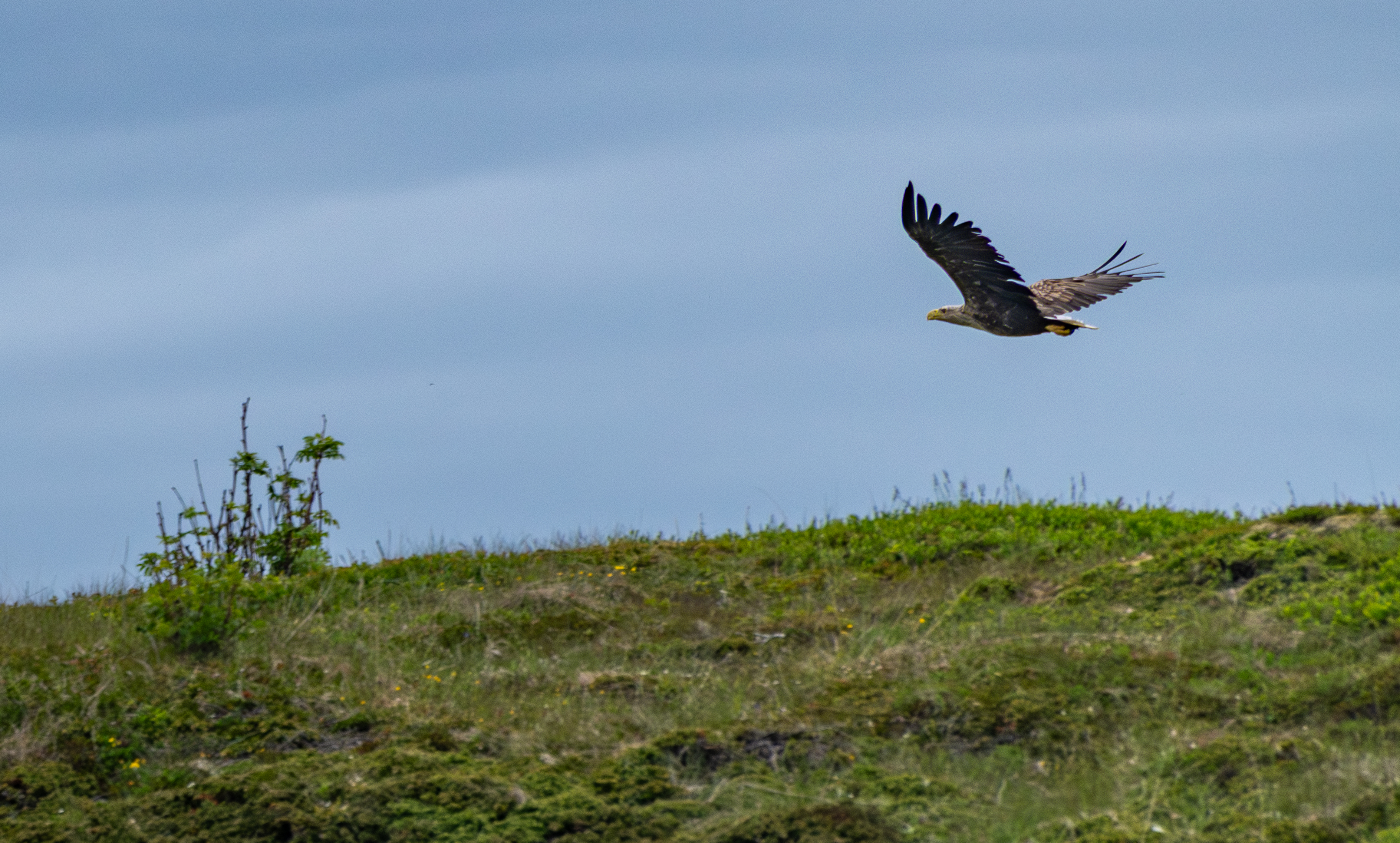 norway Photography