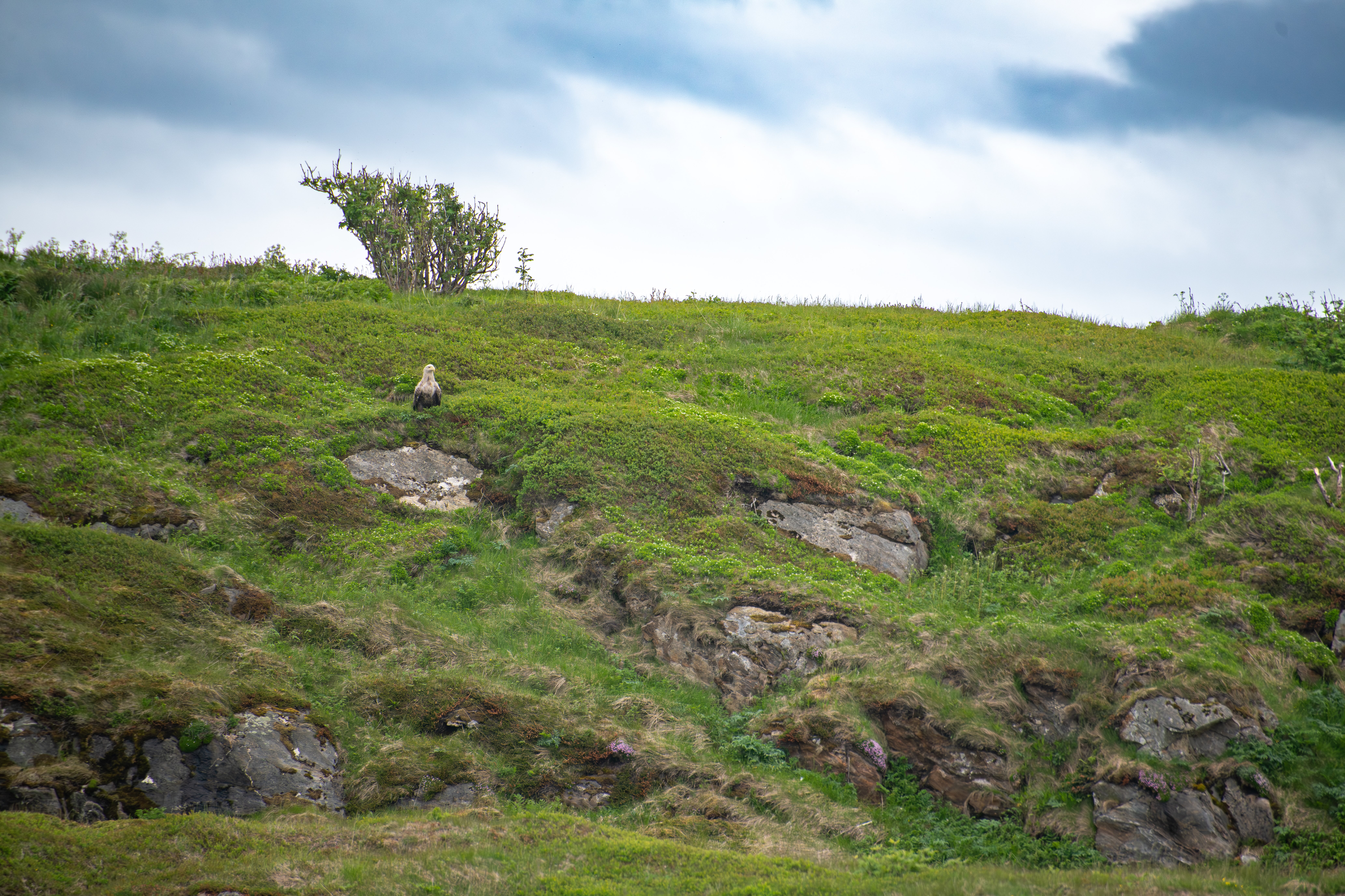 norway Photography