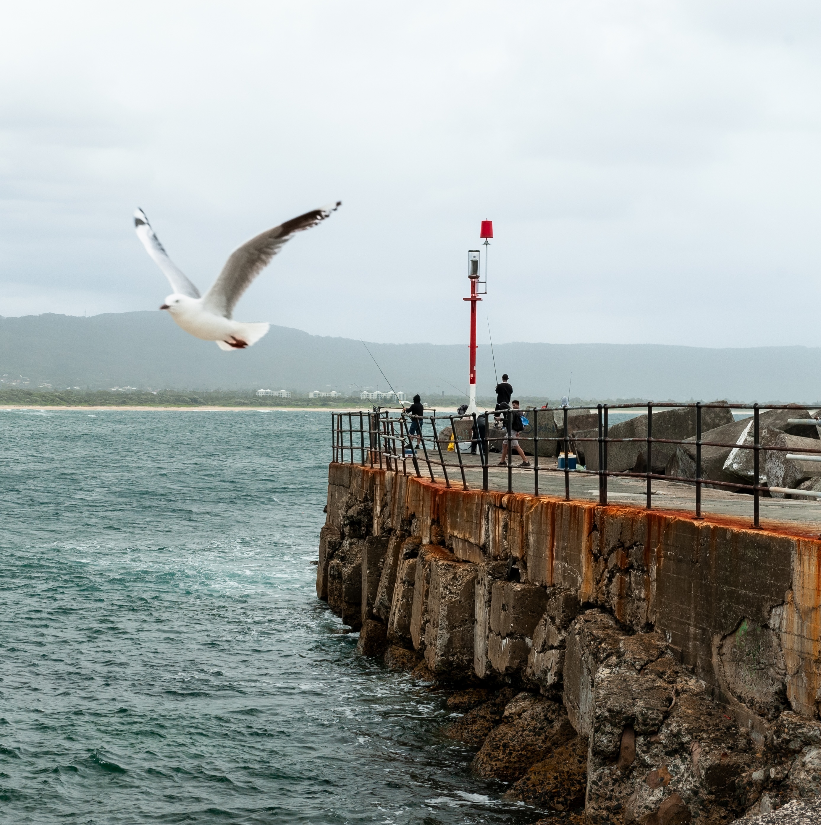 wollongong-environs Photography